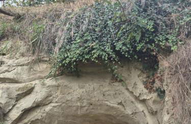 Agriturismo Dei Magi - Foto 31