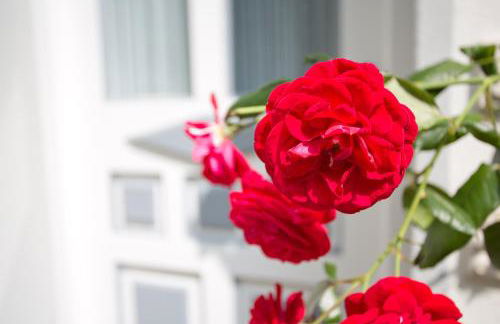 Ferienwohnungen Zum Goldenen Anker - Foto 29