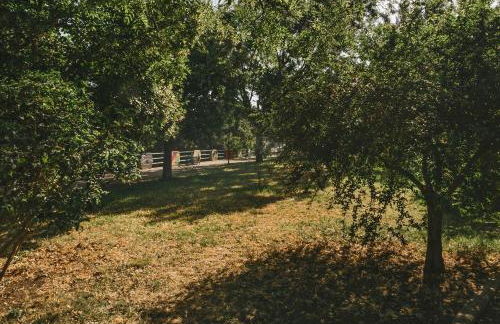 Casa Vacanze Patrizia - Photo 23