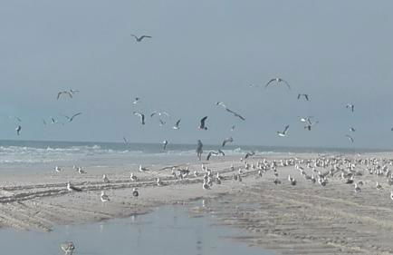 Swim&Beach Condominio Torreira - Foto 29