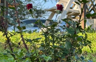 La corte dei celti -10 - Foto 47