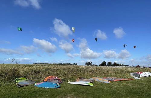 At the Saaler Bodden - Foto 13