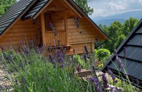 Apartament Hakerówka - Foto 13