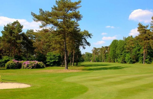 Holiday Home in Arrien Near Beerze Nature - Foto 33