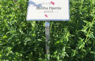 Fiori&vigne di Cecilia Marcon - Foto 39