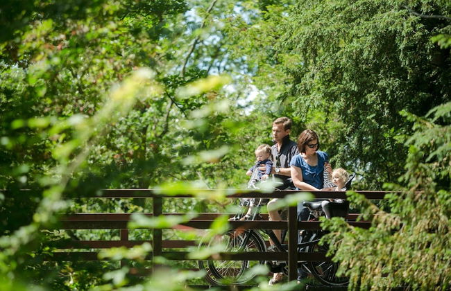 Cozy Chalet Close to the Beach - Photo 34