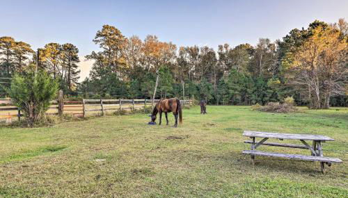 Havelock Country Cabin on Working Horse Farm! - Foto 3