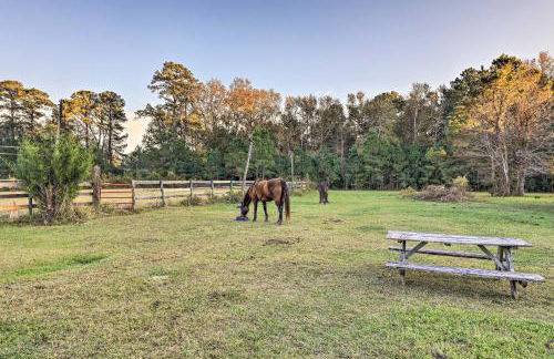 Havelock Country Cabin on Working Horse Farm! - Foto 3