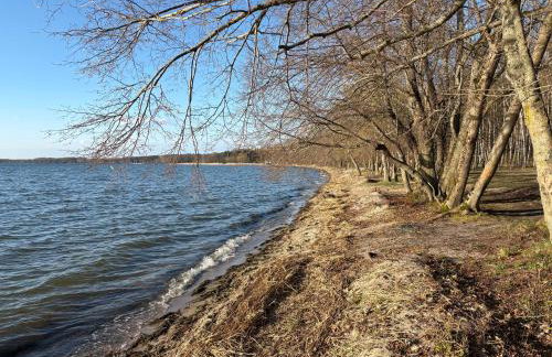 Domki na Mazurach -Pieczarki - Foto 5