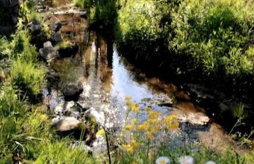 Bourbon Barrel Cottages #3 on Ky Bourbon Trail - Foto 18