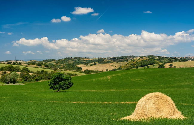 Grano Family Apt Shared Pool Volerra - Photo 11