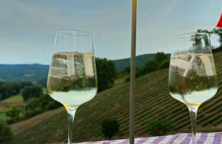 La lavanda di Poppi-mini appartamento - Foto 44