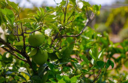 Alethea's Sea View Apartment - Foto 78