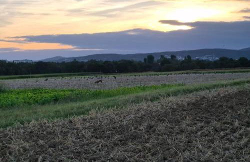 Bungalow, Uneinsehbar, 8 Personen maximal, 3 Personen oben, 5 unten - Foto 32