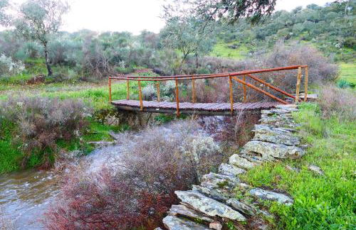 Herdade Clube Tiro Monfortinho - Foto 31