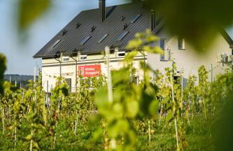 Winnica Strzegocice SPA - Foto 19