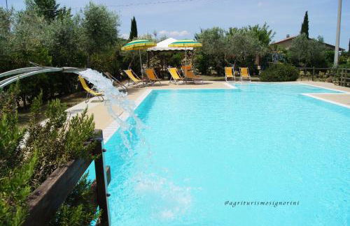 Agriturismo Signorini - Foto 55