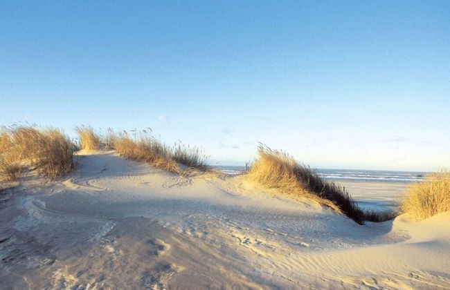 Dunenhuus Ost Modern Retreat - Foto 30