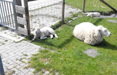 Auf dem alten Deich - Foto 36