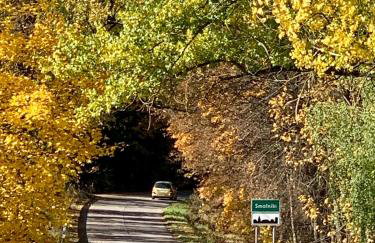 Willa Hańcza 1 - Foto 49