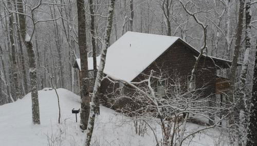 The Sassafras Breeze - Foto 3