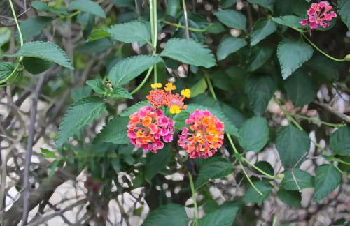 HOLIDAY HOME TORRE DELLE STELLE - Foto 76