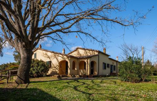 Rosaspina - Appartamento 2 - Foto 21