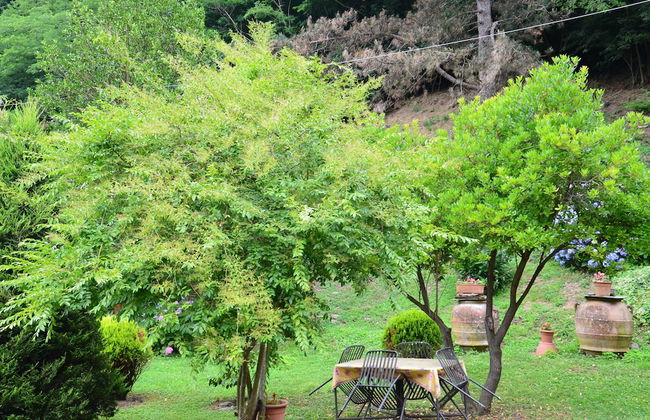 Podere Campofossato - Photo 47