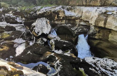 Appartement Lélex vue sur les pistes - Foto 10