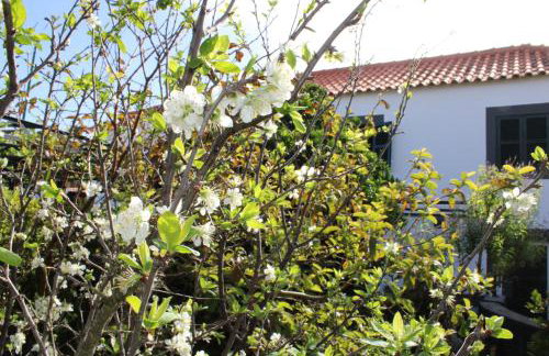 Casa da Ponta - Foto 16