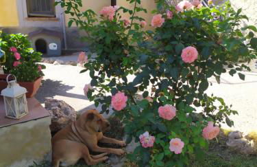 Il giardino dei semplici B&B - Foto 19