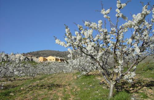 CASERIO INAZARES - CASAS DE MONTAÑA CON CHIMENEA Y NIEVe - Foto 29