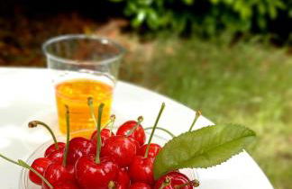 Casa intera con giardino - Photo 50