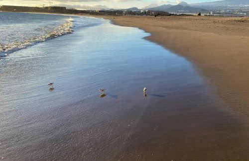 Ático de proa, en la mejor playa del Médano - Foto 22