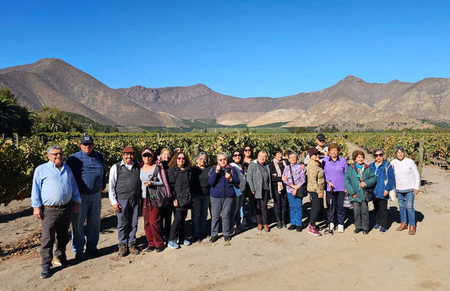 Escursione alla Laguna del Inca e alla Viña Sánchez de Loria - Foto 3