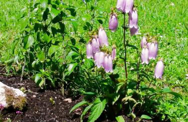 Le Petit Manoir Vaillac - Foto 13