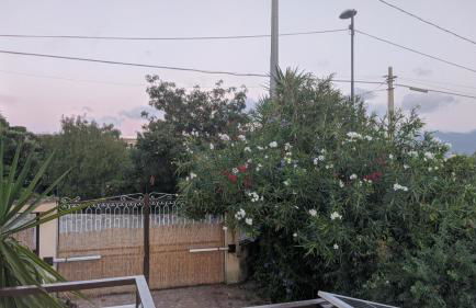 Villa Giulia al Vesuvio - Foto 28