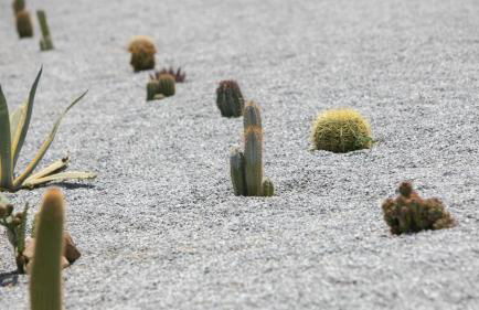 Olives Rocks Naxian Villas, by NaxosVibe - Foto 146