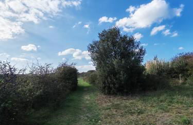 Les Sternes - Foto 44