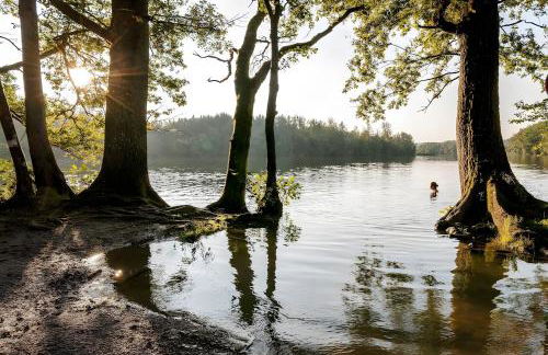 Neubau - Ferienwohnung Waldblick - Foto 31