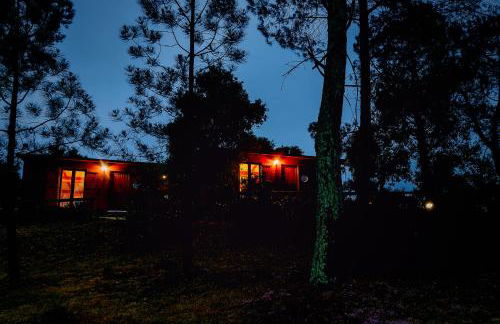 Arrabia Bunga Payva - Foto 32