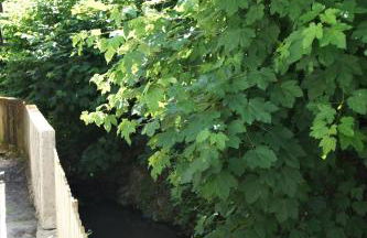 Mill Valley Appart - Foto 21