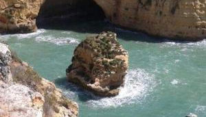 Apartamentos - Solar Vale Covo - Photo 3