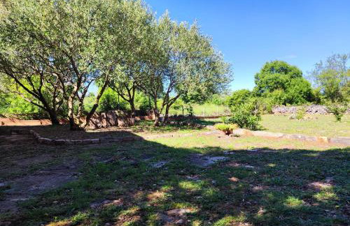 The Old Stone House Dida Jure - Foto 46