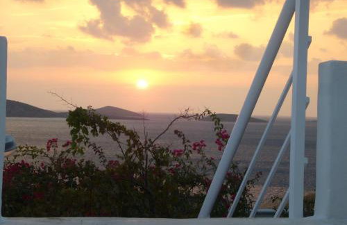 Elpida Andros - Foto 15