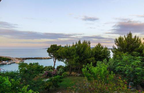 Studios Avra - Foto 10