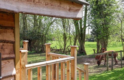 Duck Lodge - Foto 18