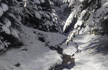 Studio 4 personnes au pied des piste plateau de Bonascre - Ax 3 domaines Eté Hiver - Foto 20