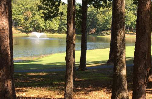 Furnished Deck and Grill Hot Springs House - Foto 29