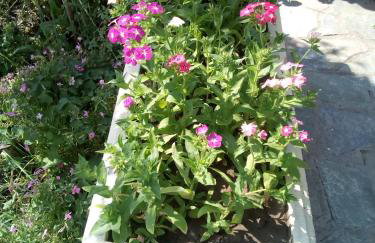 Magdalini Studio - Foto 35